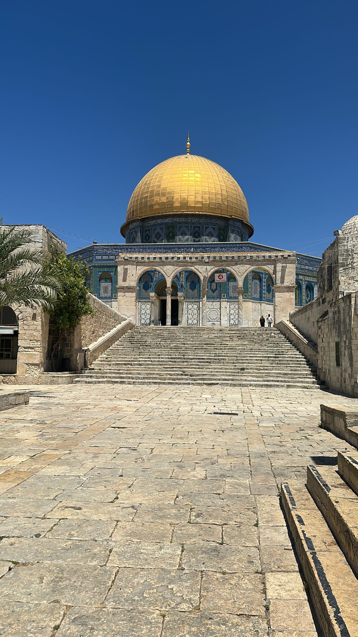 المدربة
